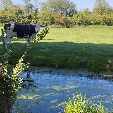 Charmante Maison De Campagne, Avec Jardin, Vue Riviere, 15 Min Cabourg Basseneville ภายนอก รูปภาพ