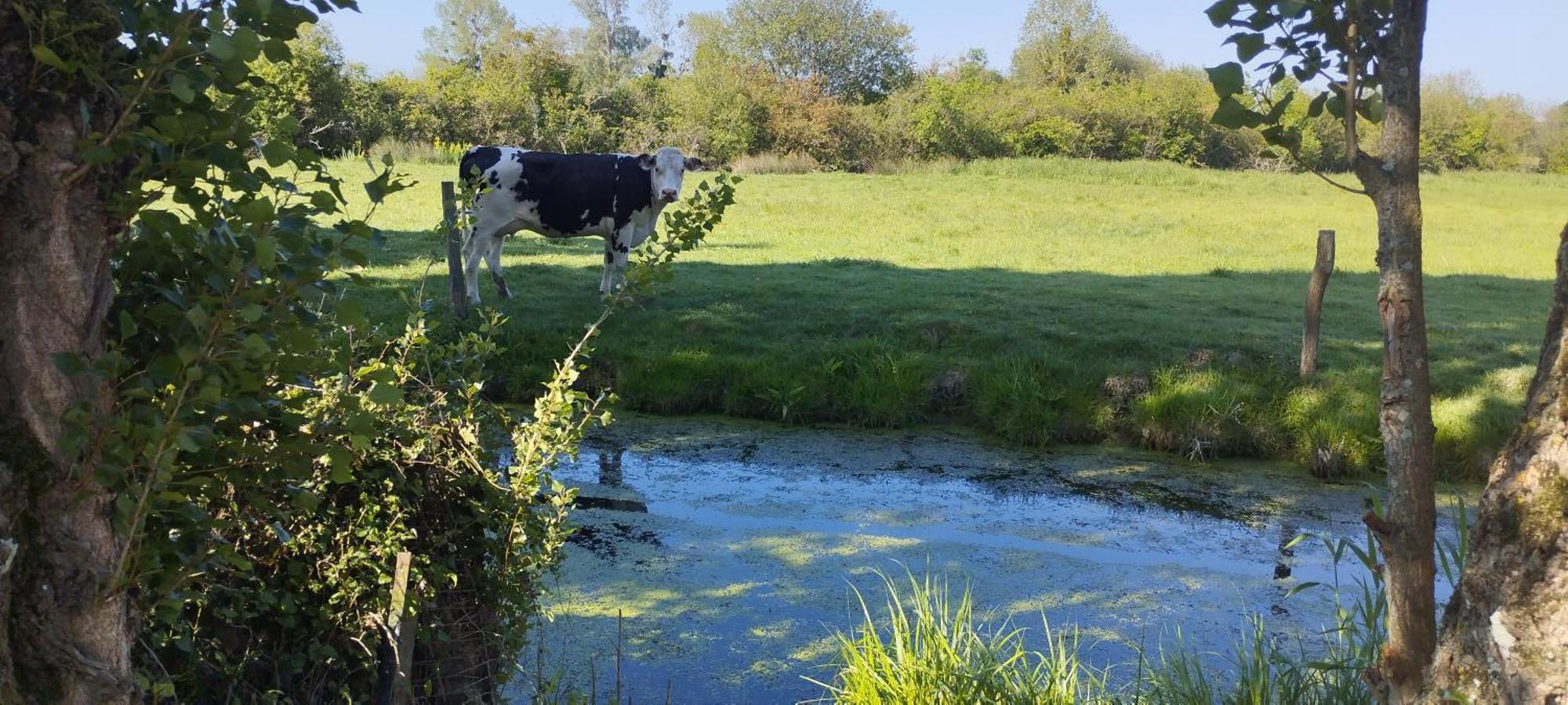 Charmante Maison De Campagne, Avec Jardin, Vue Riviere, 15 Min Cabourg Basseneville ภายนอก รูปภาพ